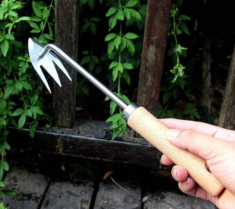 Stainless Dandelion Weeder with Wooden Handle