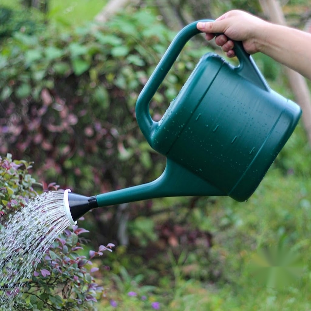 Heritage Green Watering Can